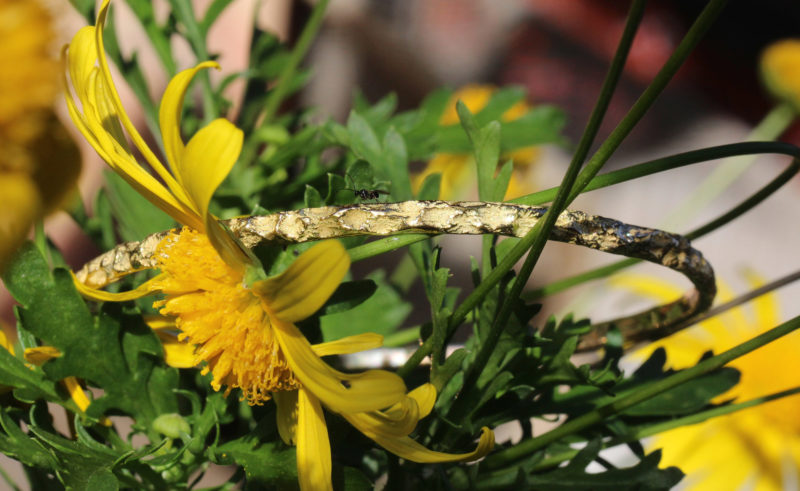 Compagnon du soir - Bracelet artisanal original en or jaune